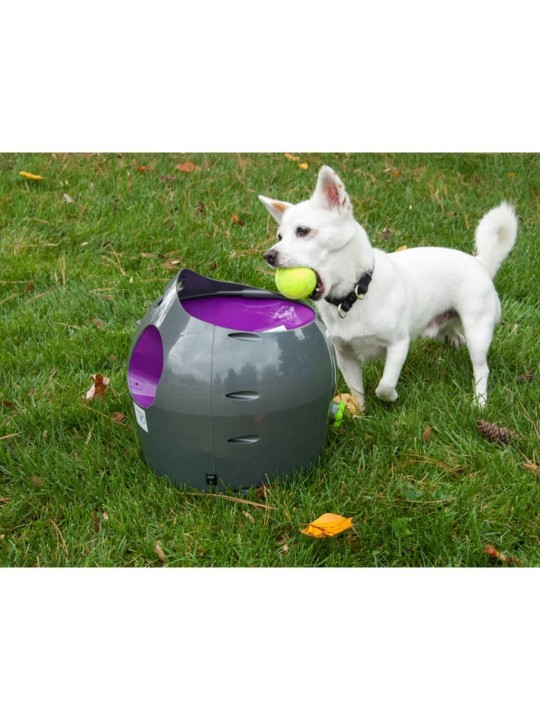 PetSafe Automaattinen pallonheitin 9 m harmaa ja violetti