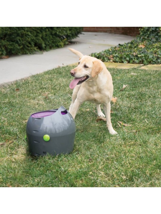 PetSafe Automaattinen pallonheitin 9 m harmaa ja violetti