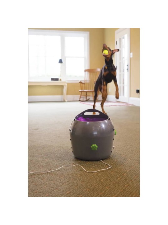 PetSafe Automaattinen pallonheitin 9 m harmaa ja violetti