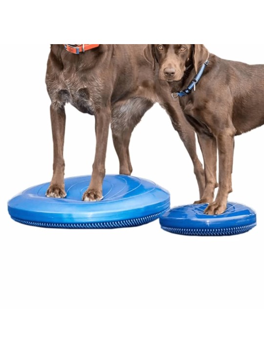 Fitpaws lemmikin tasapainoalusta 36 cm sininen