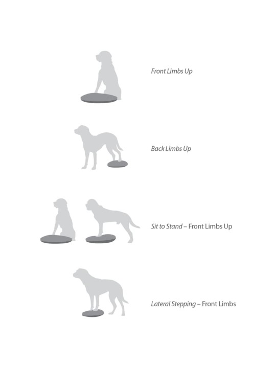 Fitpaws lemmikin tasapainoalusta 36 cm sininen