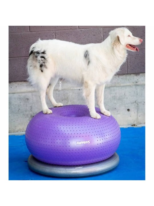 Fitpaws lemmikin tasapainopallo trax donut 55 cm violetti