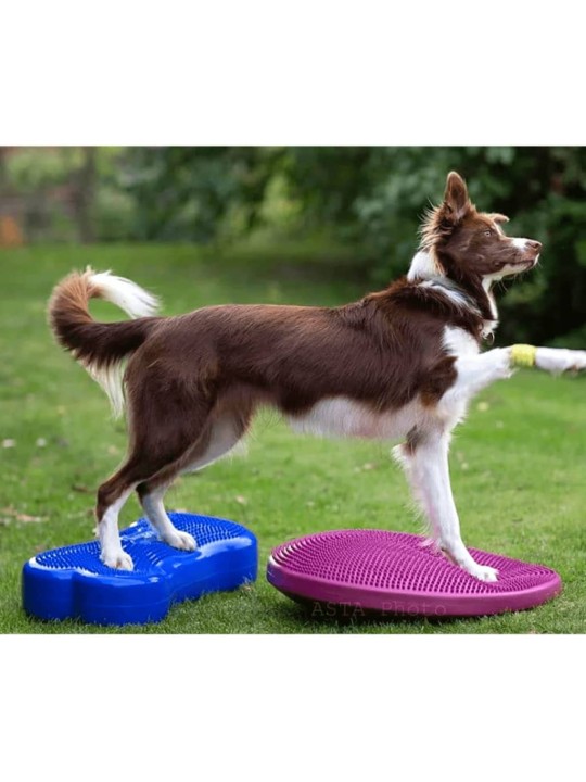 FitPAWS Lemmikin tasapainoalusta 56 cm fuksia