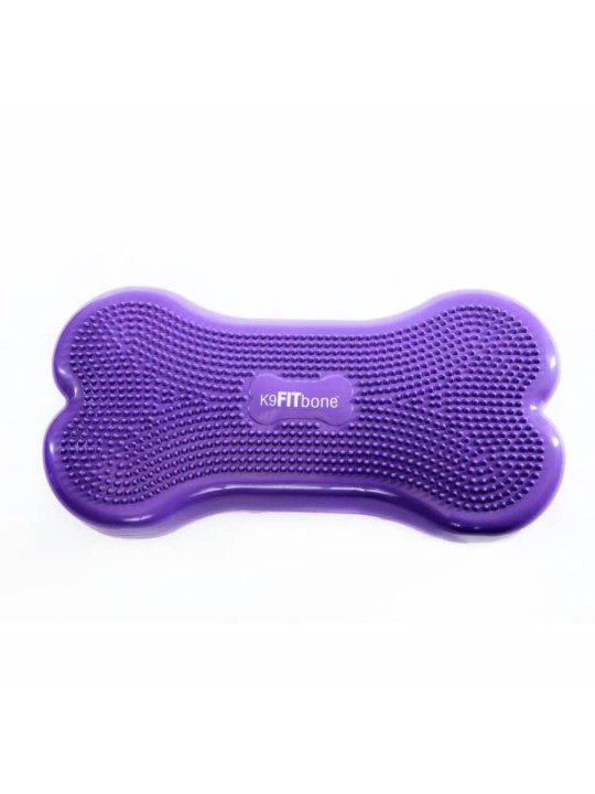 FitPAWS Lemmikin tasapainoalusta Giant K9FITbone PVC violetti