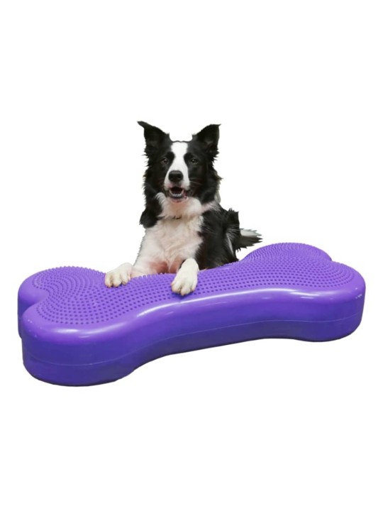 FitPAWS Lemmikin tasapainoalusta Giant K9FITbone PVC violetti