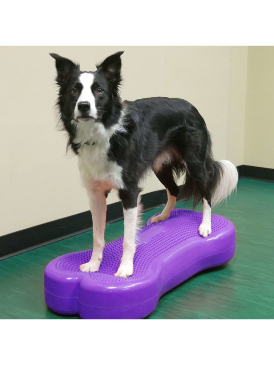 FitPAWS Lemmikin tasapainoalusta Giant K9FITbone PVC violetti