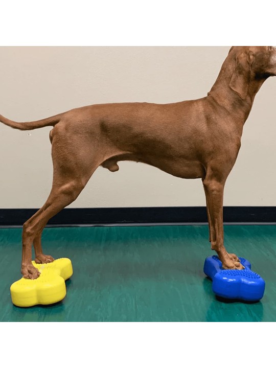 FitPAWS Lemmikin tasapainoalusta Mini K9FITbone 2 kpl 29x16,5x6cm sin.