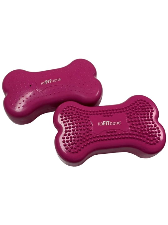 FitPAWS Lemmikin tasapainoalusta Mini K9FITbone 2 kpl 29x16,5x6 cm