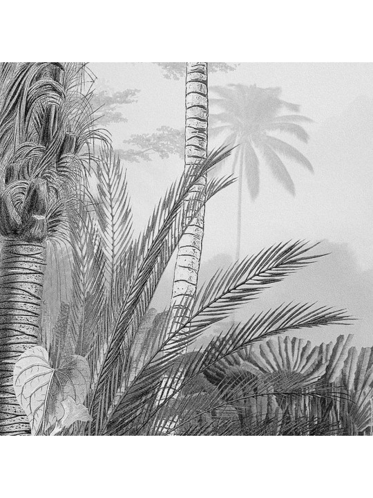 Komar Valokuvaseinämaalaus Lac Tropical Black & White 200x270 cm