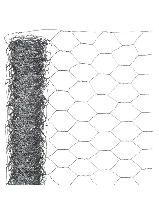 Nature Metalliverkko kuusikulmainen 1x10 m 25 mm galvanoitu teräs