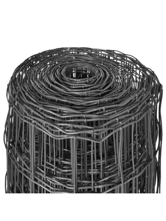 Euro-aita teräs 10x1 m harmaa