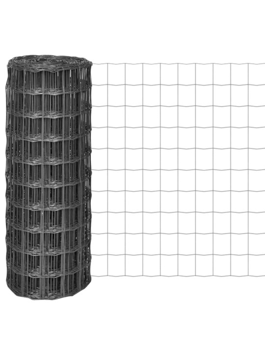 Euro-aita teräs 25x1 m harmaa