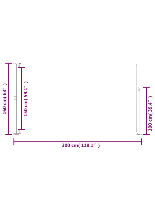 Sivumarkiisi terassille 160 x 300 cm musta