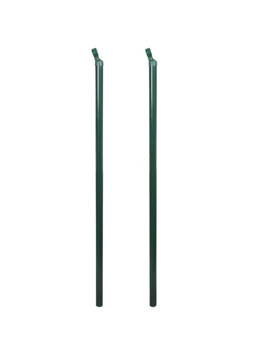 Verkkoaita tolpilla piikeillä teräs 1,0x15 m