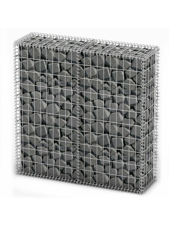 Gabion/kivikori kansilla galvanoitu vaijeri 100x100x30 cm