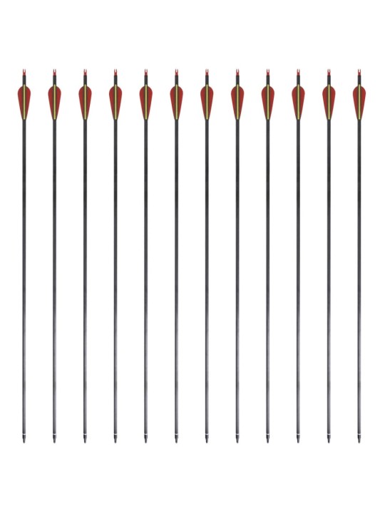 Jousipyssyn Nuolet 30" 0,76 cm Hiilikuitu 12 pcs