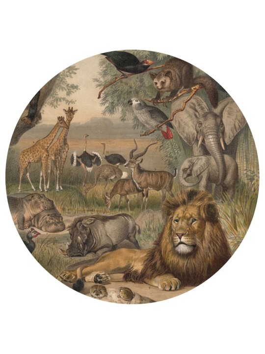 WallArt Tapetti ympyrä Animals of Africa 190 cm