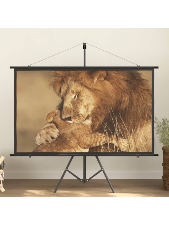 Valkokangas jalustalla 72" 16:9