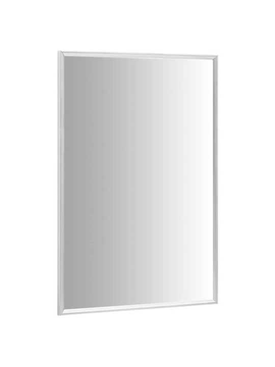 Peili hopea 70x50 cm