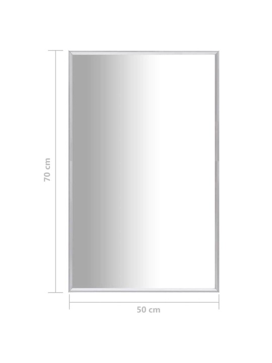 Peili hopea 70x50 cm