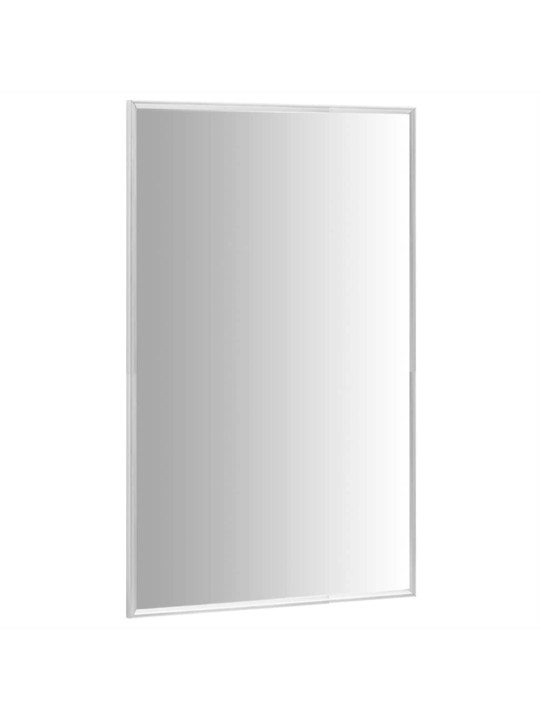 Peili hopea 80x60 cm