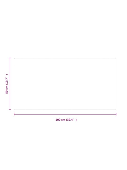 Takan lasilevy suorakaide 100x50 cm