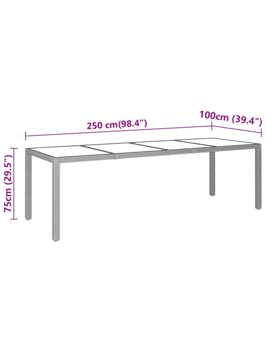 Puutarhapöytä 250x100x75cm karkaistu lasi ja polyrottinki musta