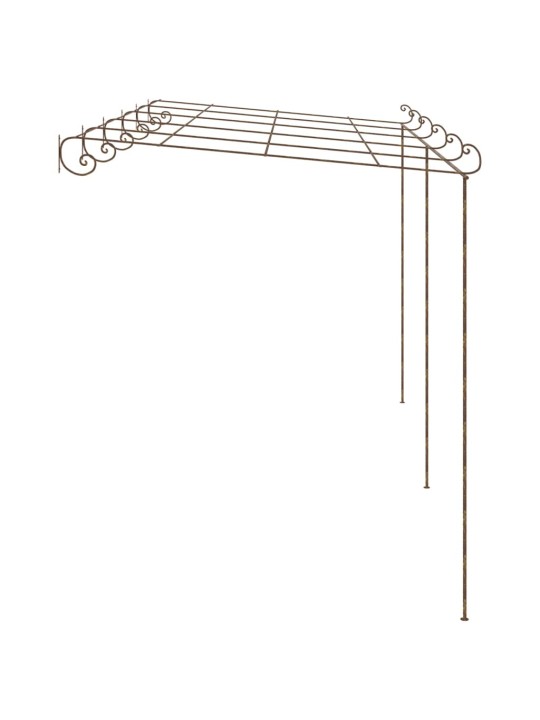 Puutarhan pergola antiikkiruskea 6x3x2,5 m rauta