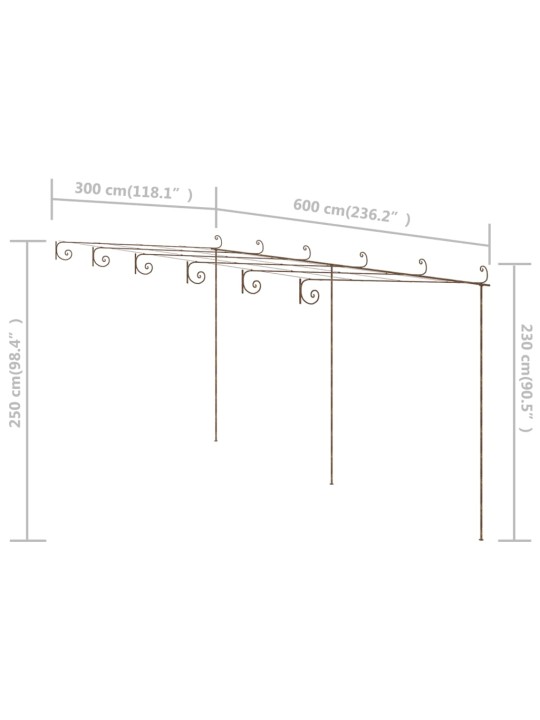 Puutarhan pergola antiikkiruskea 6x3x2,5 m rauta