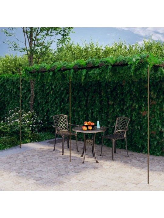 Puutarhan pergola antiikkiruskea 6x3x2,5 m rauta