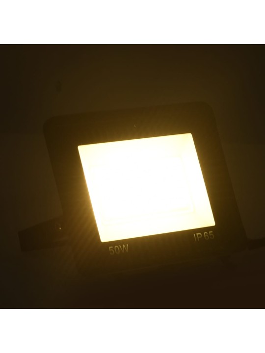 Led-valonheittimet 2 kpl 50 w lämmin valkoinen