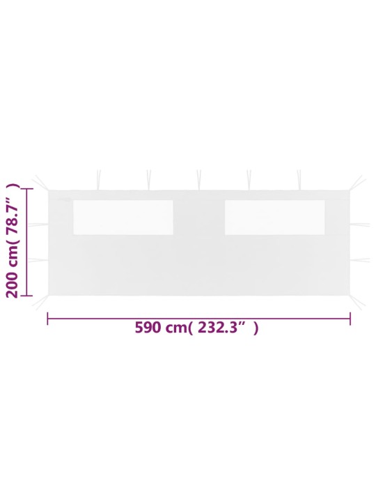 Huvimajan sivuseinä ikkunoilla 6x2 m valkoinen