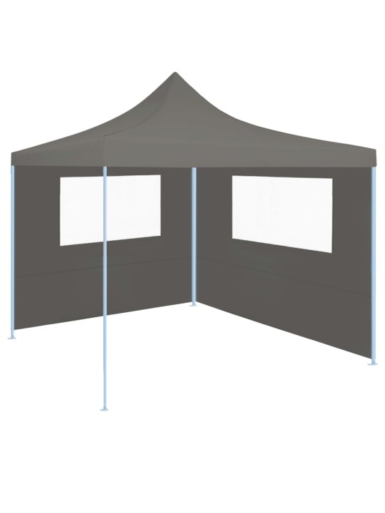 3070423 Gazebo Sidewall with Windows 4x2 m Anthracite (315312)