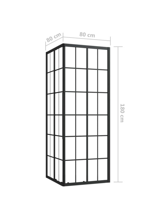 Suihkukaappi ESG 80x80x180 cm