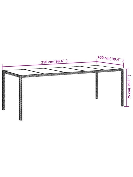 Puutarhapöytä 250x100x75cm karkaistu lasi ja polyrottinki musta