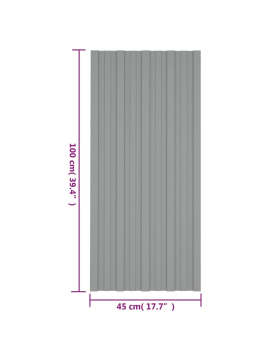 Kattopaneeli 12 kpl galvanoitu teräs harmaa 100x45 cm