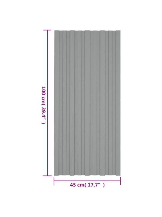 Kattopaneeli 36 kpl galvanoitu teräs harmaa 100x45 cm