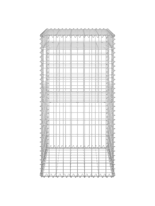 Kivikoripylväät 2 kpl 50x50x100 cm rauta