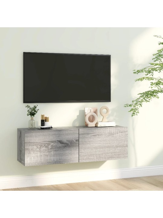 TV-seinäkaappi harmaa Sonoma 100x30x30 cm tekninen puu