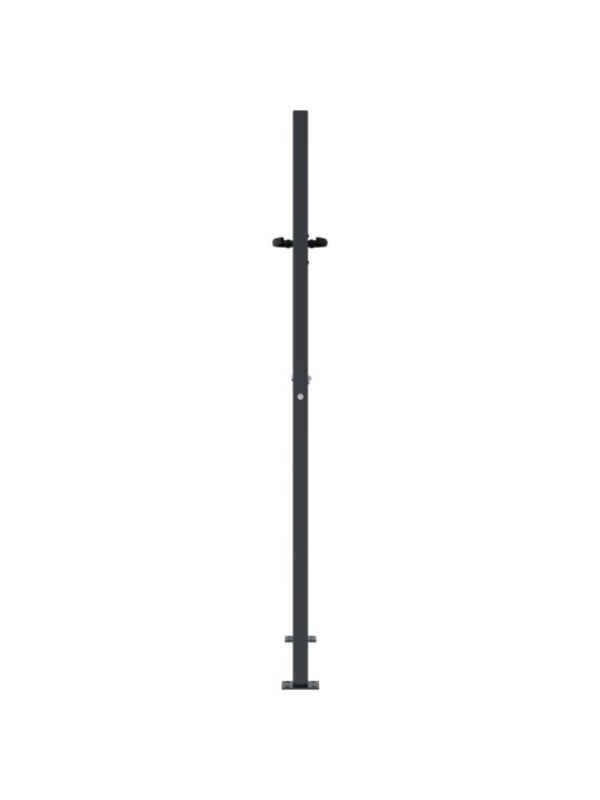 Puutarhaportti antrasiitti 105x155 cm teräs bambukuvio