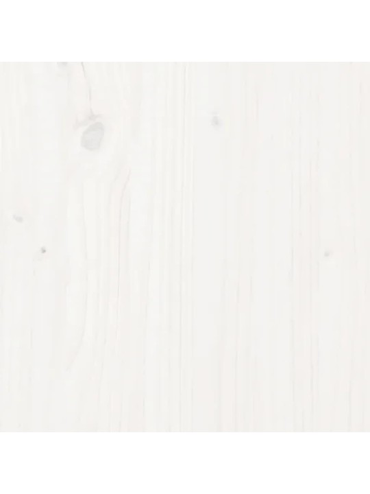 Eteisen penkki valkoinen 110x40x60 cm täysi mänty