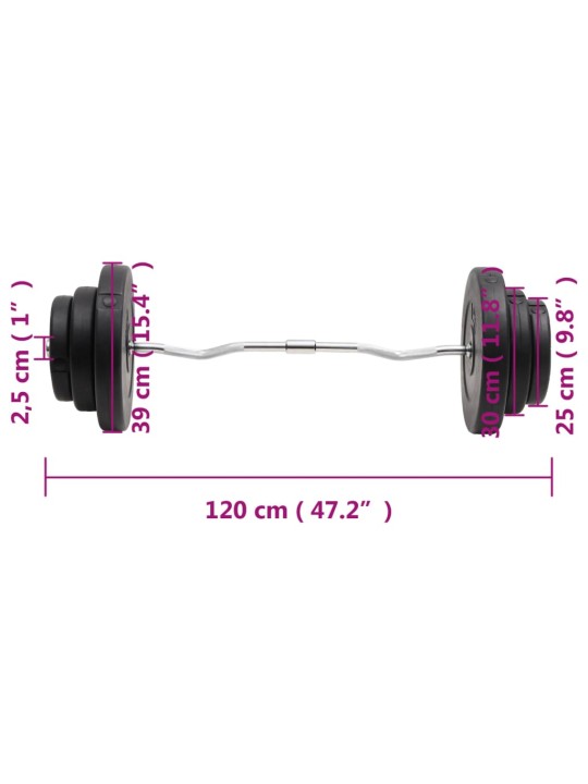 Hauistanko levypainoilla 60 kg