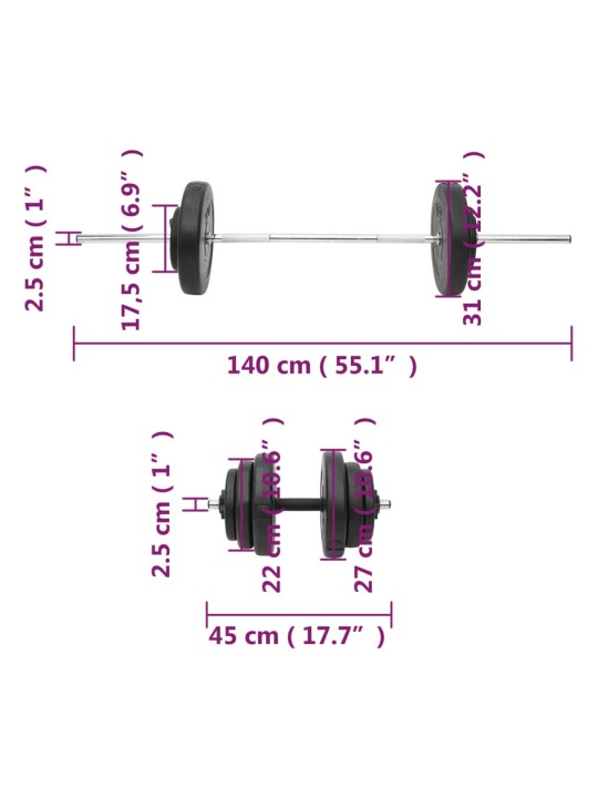 Painonnostotanko ja käsipainosarja levyillä 60 kg