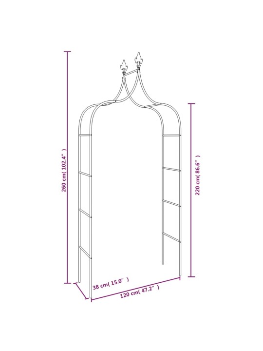 Puutarhakaaret 2 kpl musta 120x38x260 cm teräs