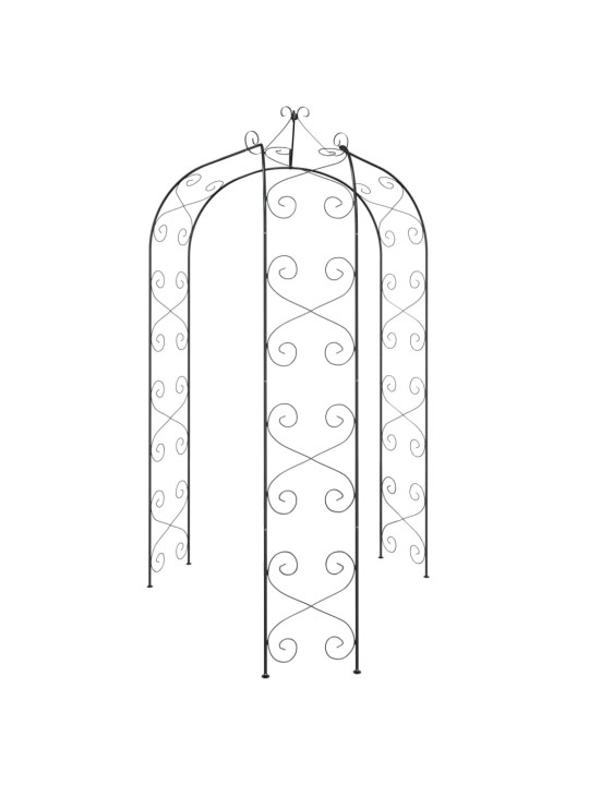 Puutarhakaari musta Ø180x255 cm teräs