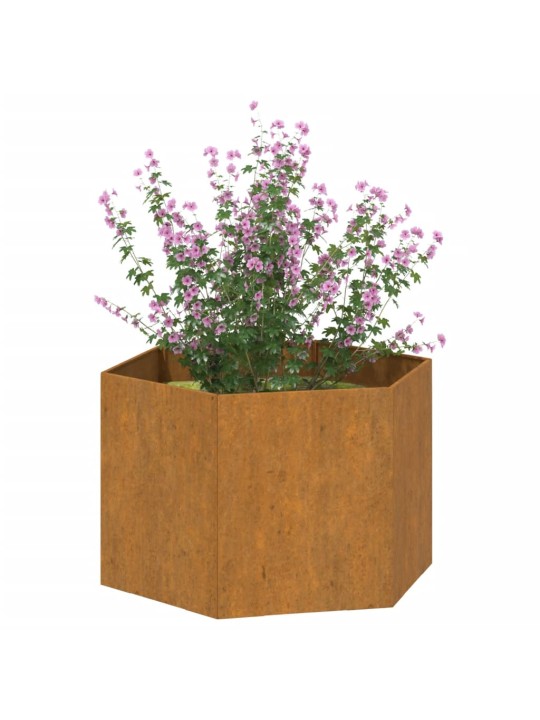 Kukkalaatikko ruoste 60x60x45 cm Corten teräs