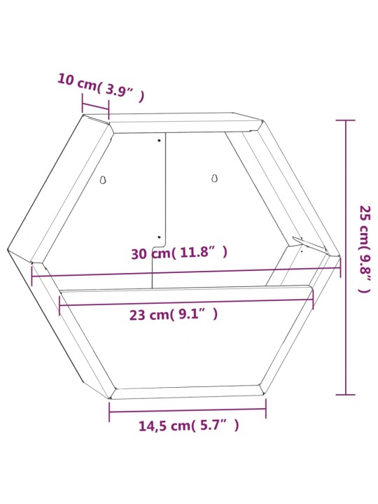 Kukkalaatikot 2 kpl ruoste Corten teräs 30x10x25 cm