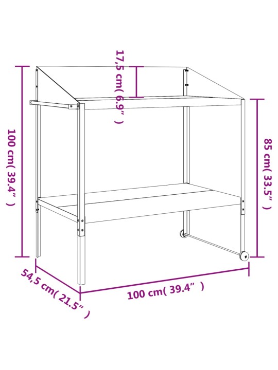 Kasviteline antrasiitti 100x54,5x100 cm galvanoitu teräs