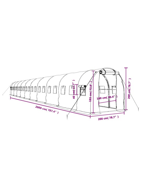 Kasvihuone teräsrungolla valkoinen 40 m² 20x2x2 m