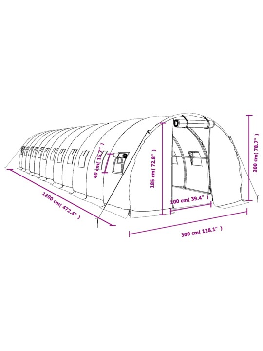 Kasvihuone teräsrungolla valkoinen 36 m² 12x3x2 m